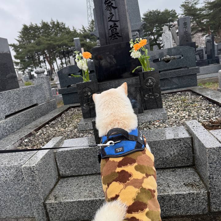 F043b3c6 b52b 48d0 9c11 bbd505538a59 1745555195212