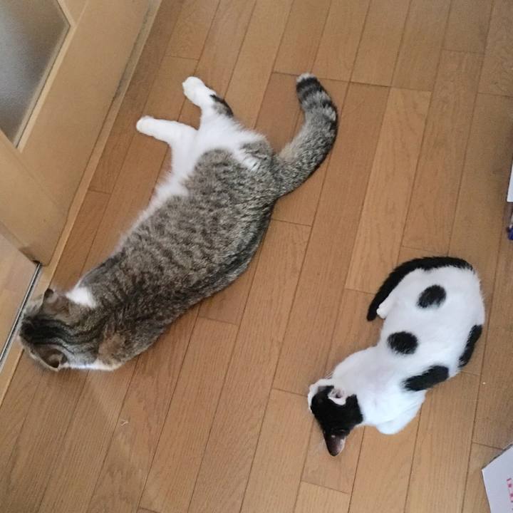 F043b9d7 1d95 49f4 8e38 1cacec0332c5 1532424806067