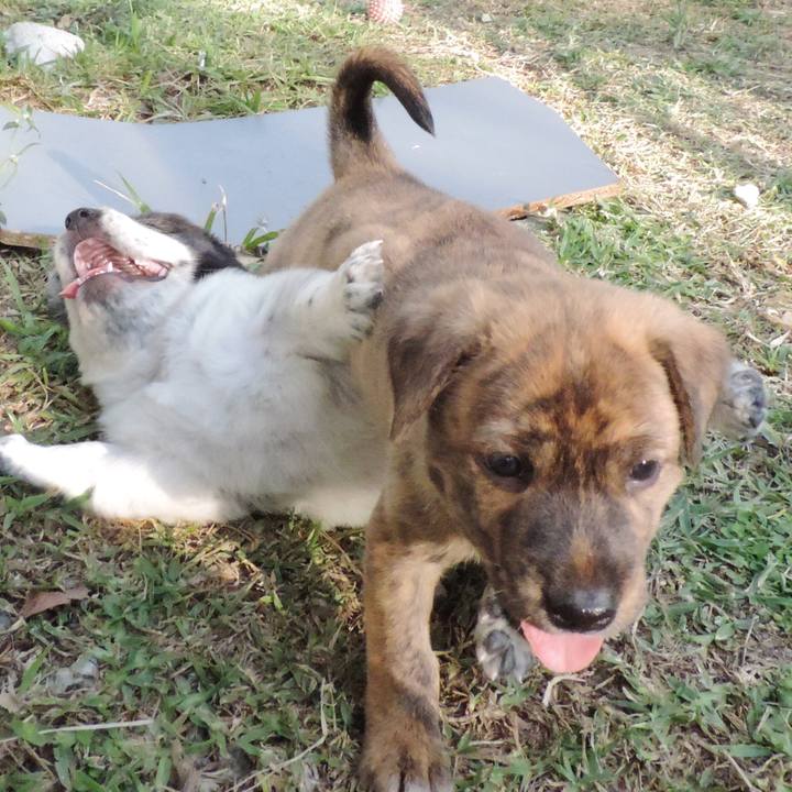 F043e16c 8d11 4a28 b174 fc4c1643b1d7 1541242406494