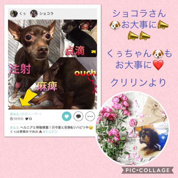 F04415ed 6ef2 4e83 9603 900ff501b457 1531277969055