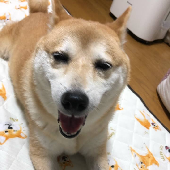 F0441f33 c870 4b70 8cbf de255e04f7d4 1564296290351