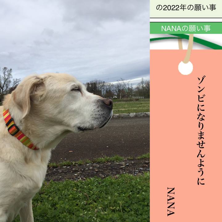 F0442591 59b0 4c9f a027 4edd2817a391 1657199024624