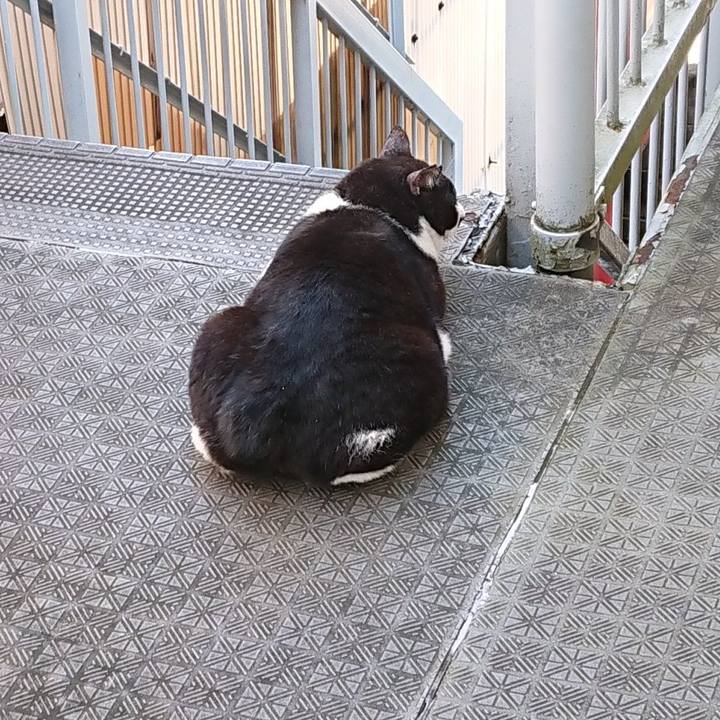 F04447d2 c81f 42ed 9168 3aef75ded8a6 1632115304516