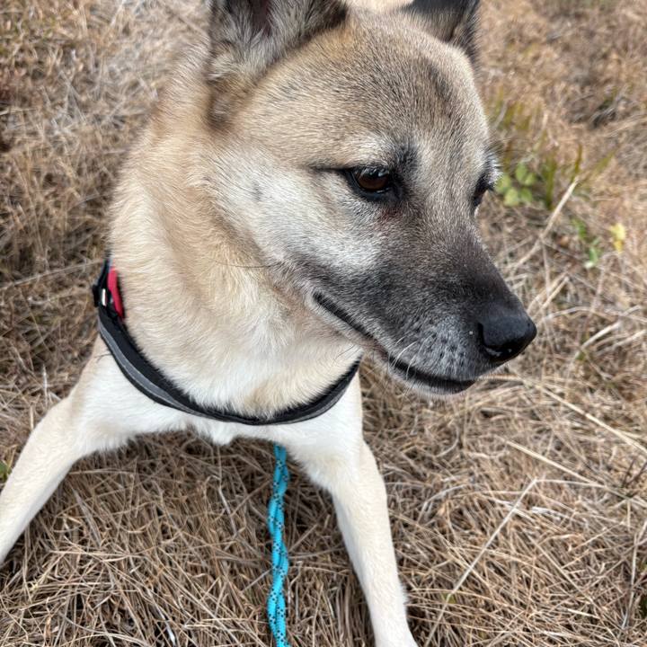 F044bfcd 0b5c 4ce7 8195 54ac56461e80 1738066579280