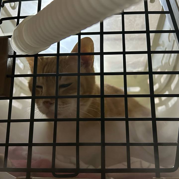 F044f84b f6e2 461d 8bb7 a203c89ffa7c 1677153393428