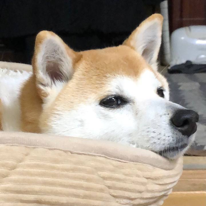 F045001a 231b 4735 9dba 6d9a332d83be 1613871317495