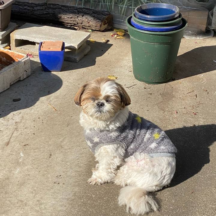 F0450700 5a30 48e9 8ee9 0ead61311efc 1607738462154