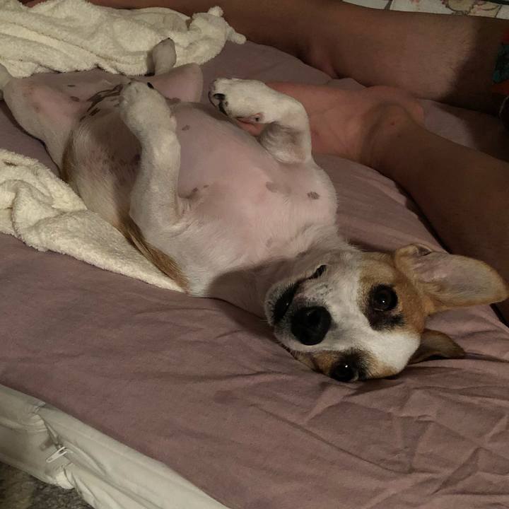 F04586a8 8ea0 424f a41c e798fd6f1482 1566400705284