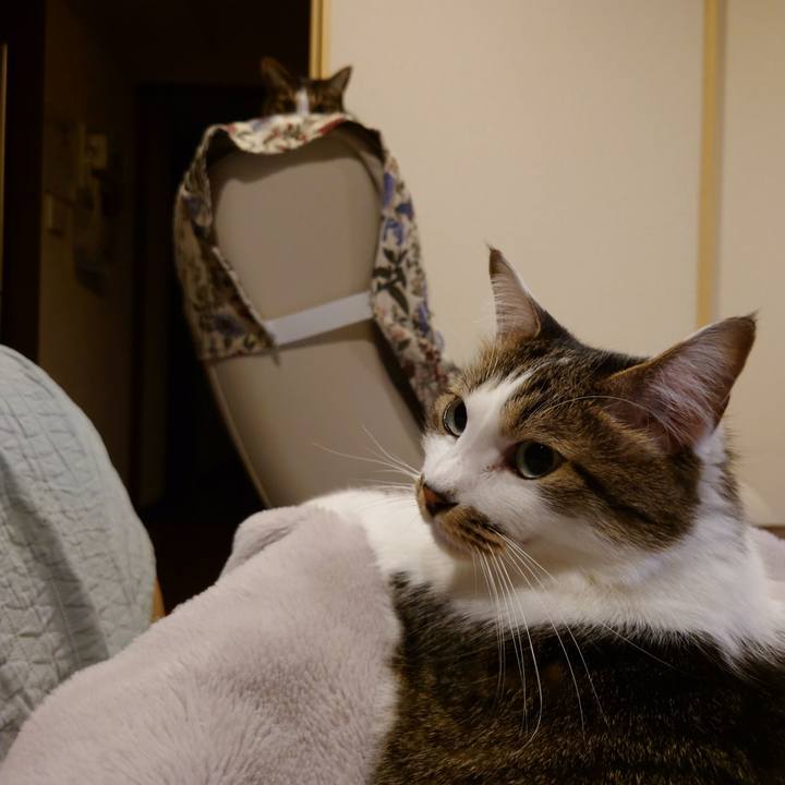 F045c263 bc4b 4723 bb3d fa7f643a3f1a 1762487363518