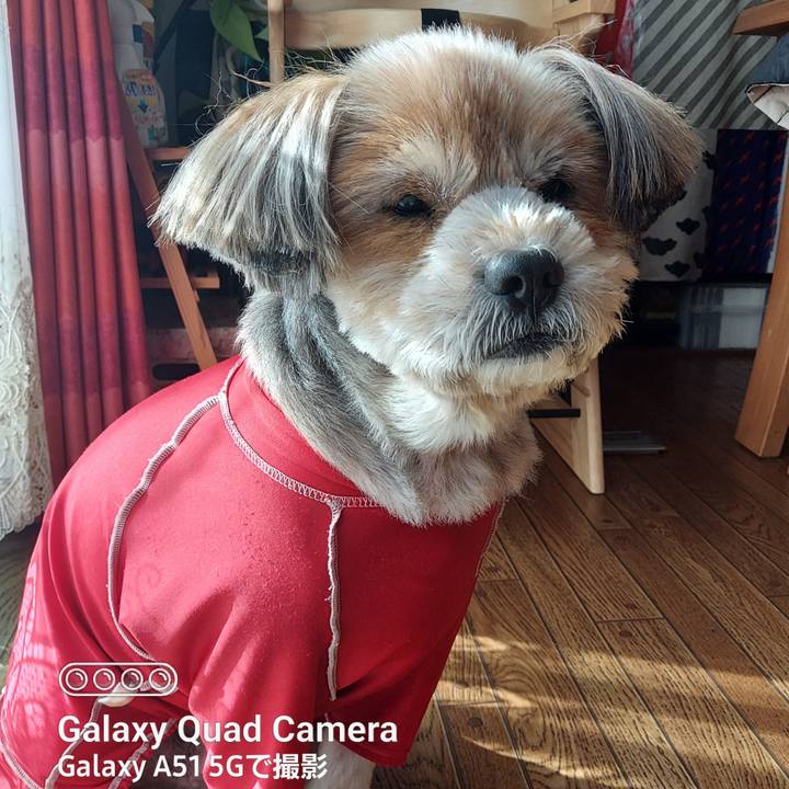 F045c635 78ac 4d6b a57e e1744888aefb 1673918170011