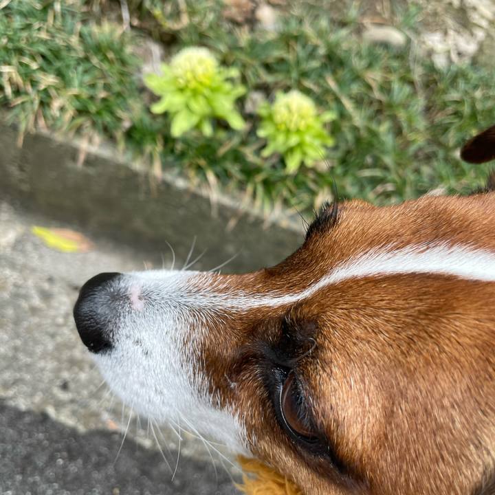 F045d5b8 5e28 46b4 b9f4 55c6b1123c51 1648542676793