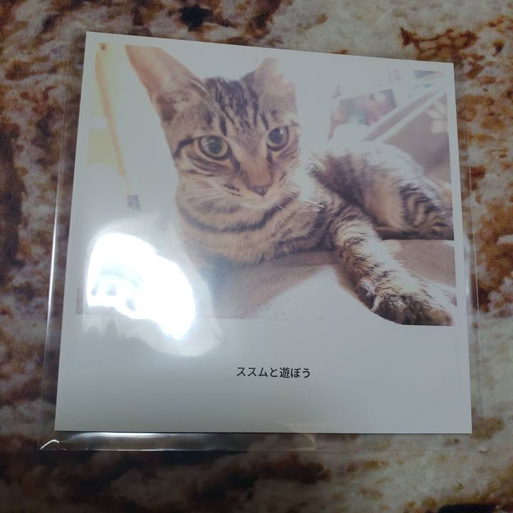 F04605c9 1d85 450e 8bbb c9cf6634e9a1 1543283044655