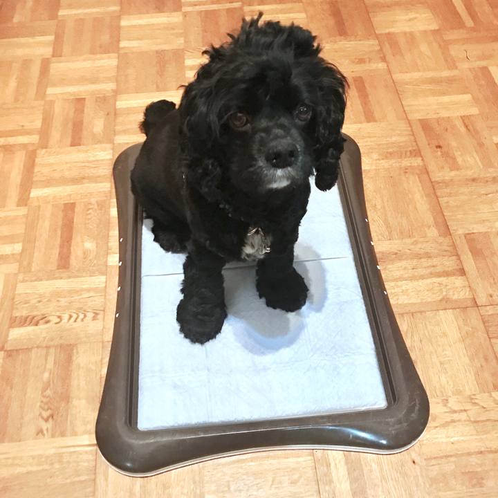 F04623cf d99b 4d11 9e8d 119b7fca6e32 1538303382779