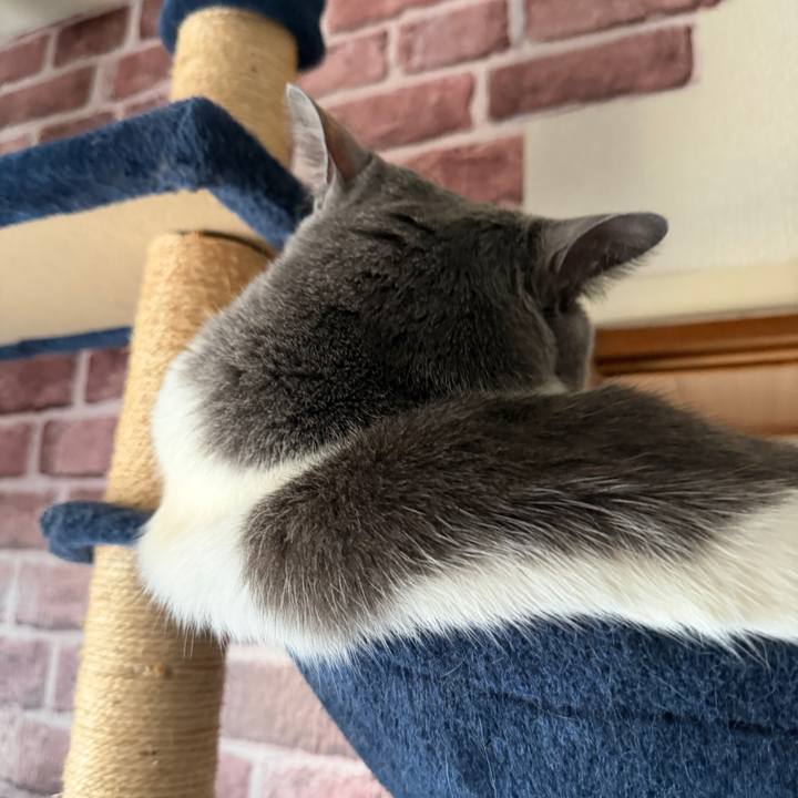 F04632cf f569 4879 ae73 8673065d94c6 1773130324378