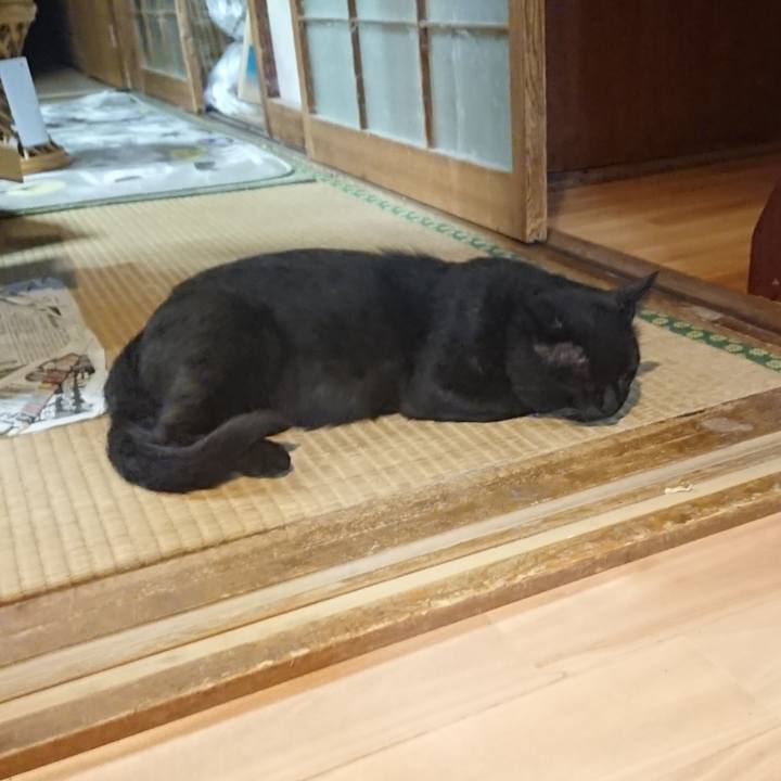 F0466e45 14e0 452a b35d fca0f42db1da 1627911336582