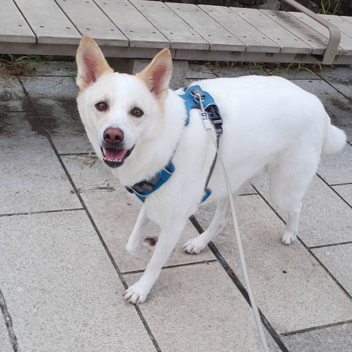 F0468201 bde8 477e a5d7 a7fb7bacdb10 1662260689172