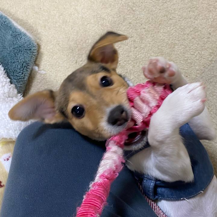 F046baaa 08d4 4d7c b41f ba9c46150b0e 1744060583282