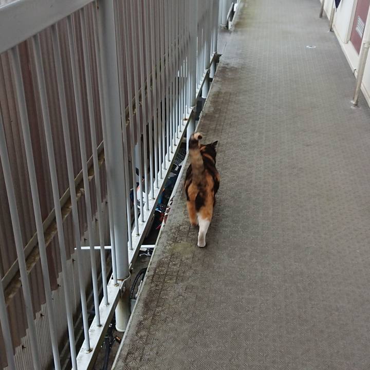 F046e378 0ead 4320 b6db 5fce593c3942 1589241523500