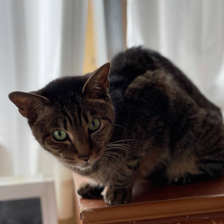 F04753ad f896 4334 8d1a f6542f2de60c 1616549701641