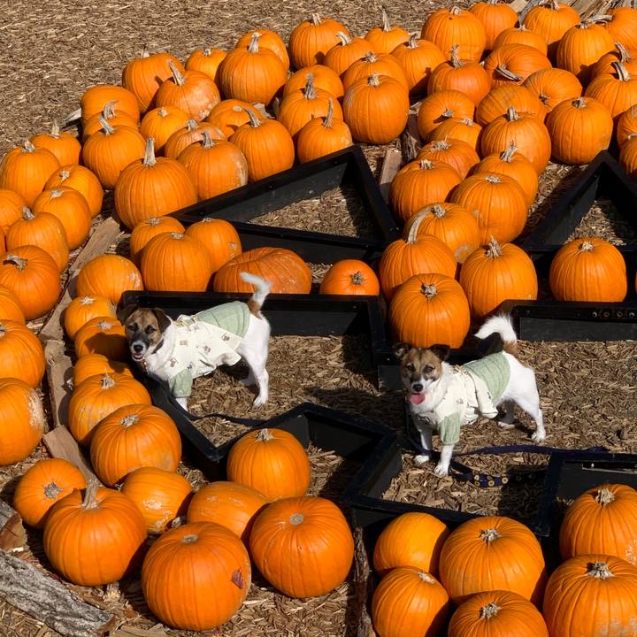 F04790b3 20ff 4921 a404 53b91ff1ae6e 1635552529753