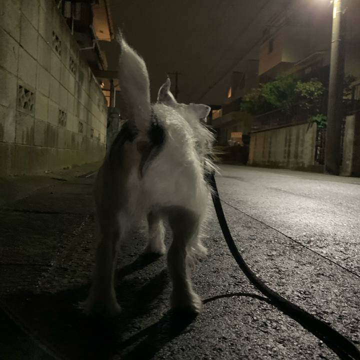 F047bec0 dbd5 4f54 a3c0 04dae614e934 1730464907222