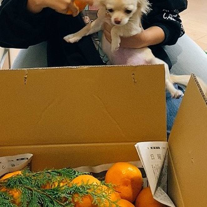 F047de3d 27bc 4704 bbf8 879ce84b7620 1604824597335