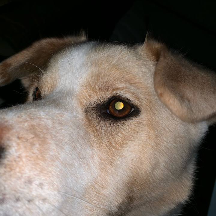 F047eccc fa7e 4a3b 82b7 ea909f0bd25c 1553735900342