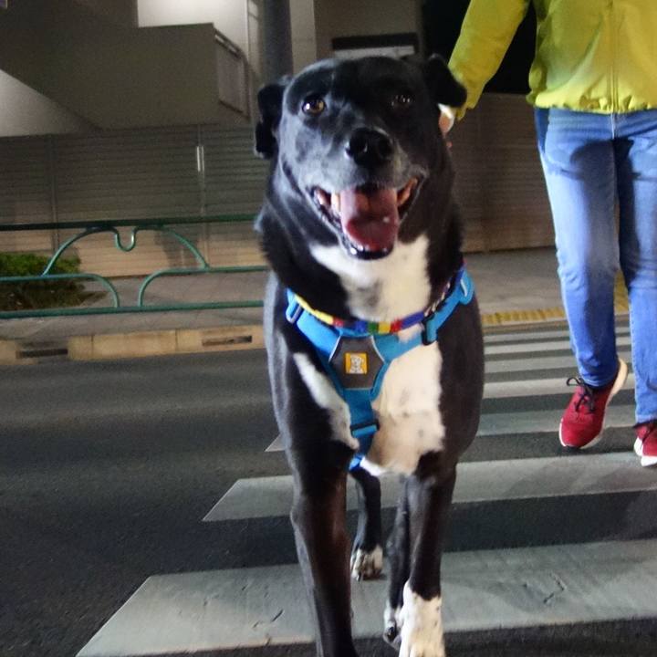 F0482ceb 03ab 4a02 85d4 1289eb6f3973 1666262883646