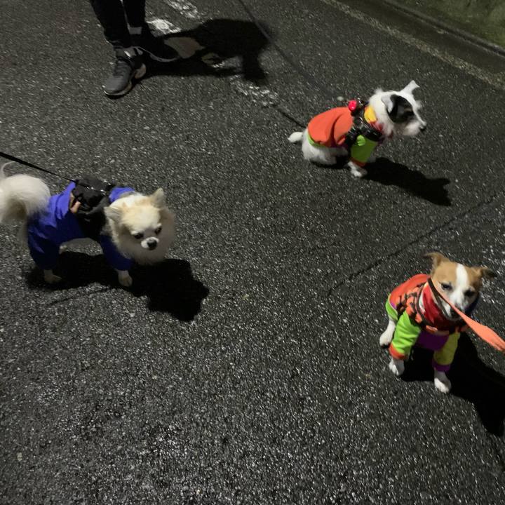 F0484cc0 9271 4049 848e cb77d6cabc07 1637581340615