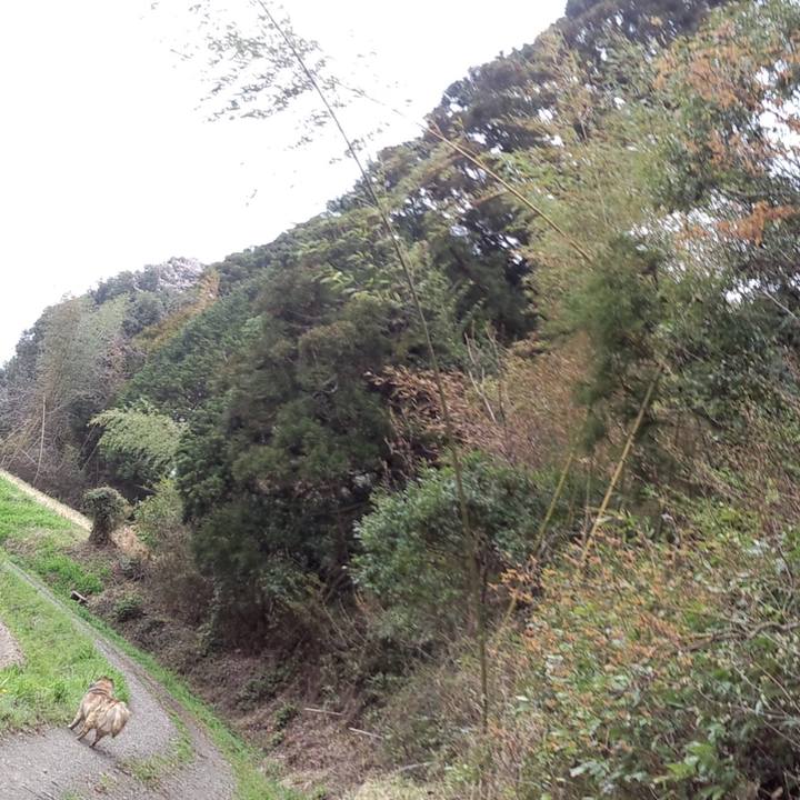 F0486528 87b3 4720 8cf2 bf118e7e609f 1568263209986