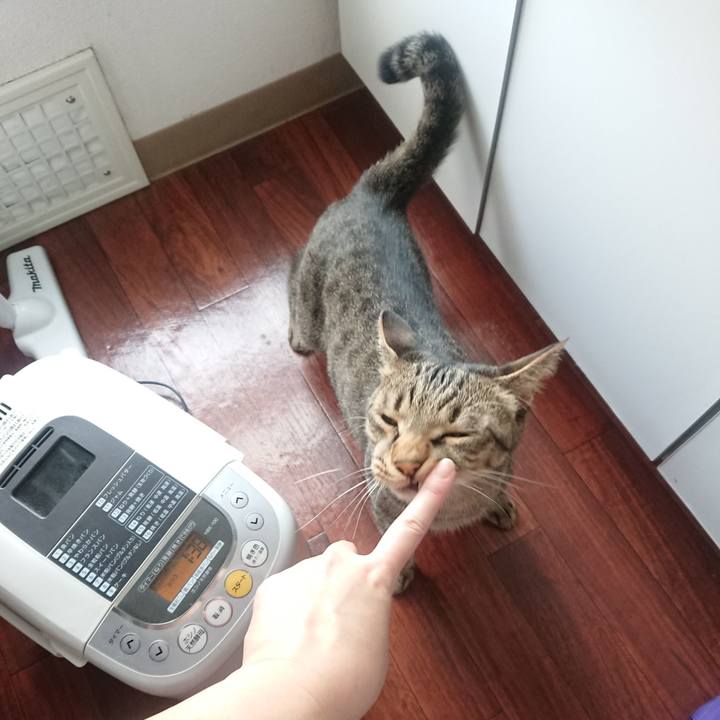 F04866dd 20c9 4a3c aa79 70b2381b156b 1534989970462