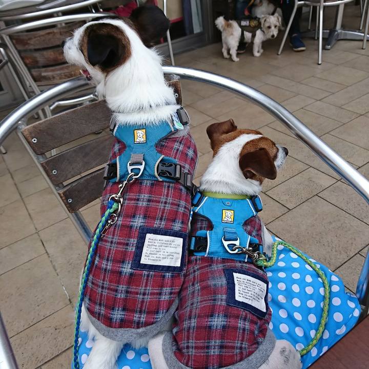 F0488139 3ffb 470d 8a12 2435fd871728 1590393884489