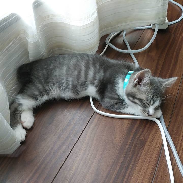 F048922d 2bbd 4f9d a531 2698e8f3bc8e 1562119775015