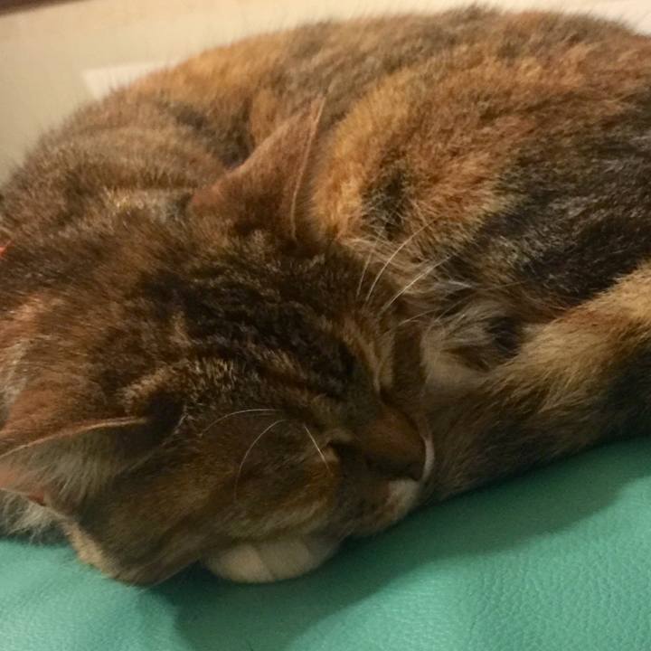 F048a4a0 6c15 434f 80d2 04c59508500b 1559292969671