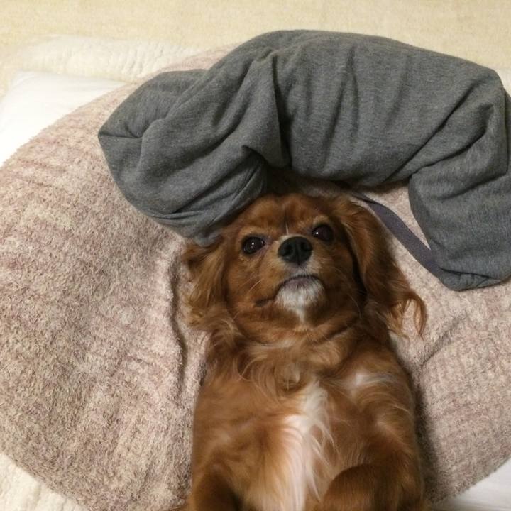 F048e83e 47be 4b67 be67 b7543568320f 1517752555900