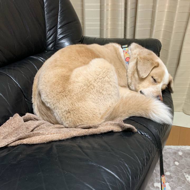 F048ec32 4430 4cb0 9ec2 8eb6a4c5a9c5 1549808980201