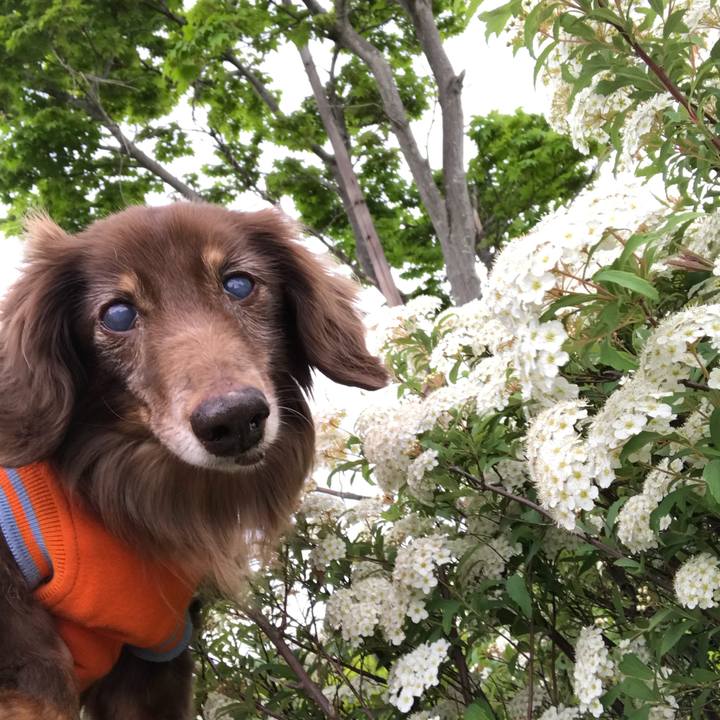 F048f535 9275 450b 8d9e 5db3bfca0481 1524537535747