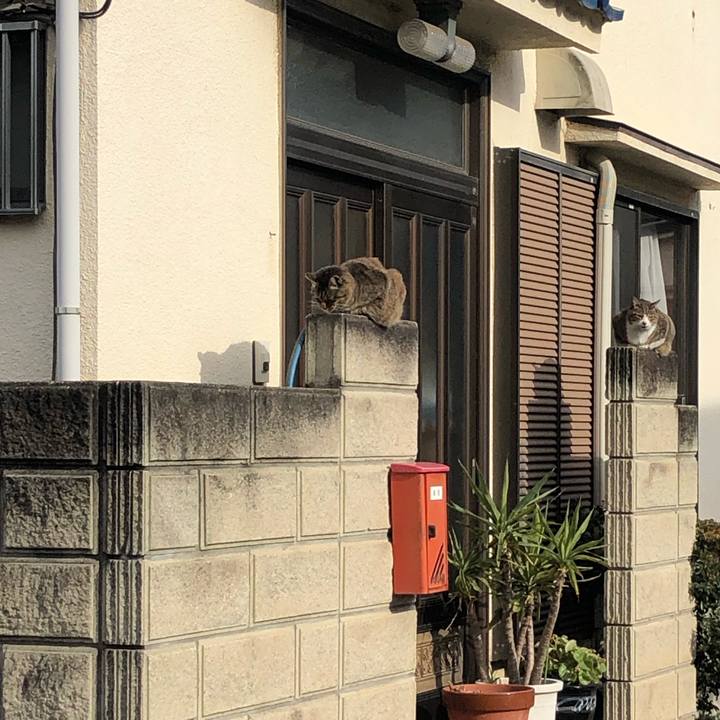 F0490ae4 824d 4335 8657 c75e099a46b6 1612106875219