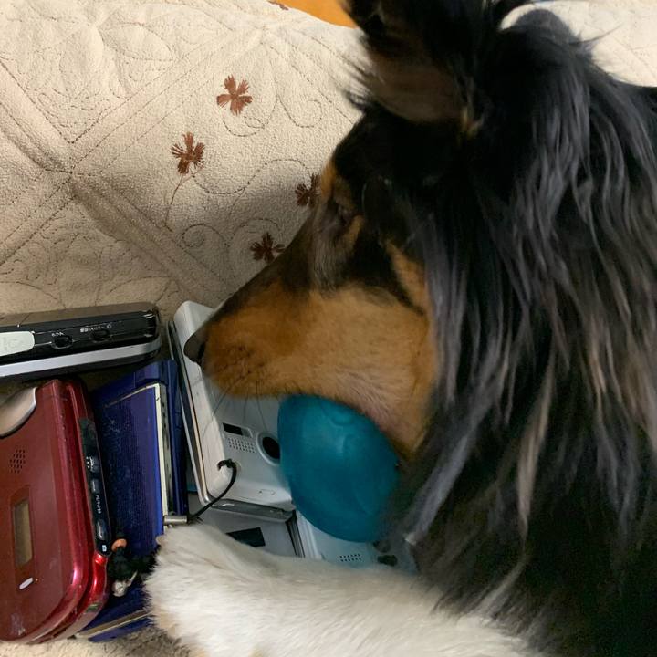 F0490c78 ed04 46fa bd4d 1fe511c311b5 1552255303572