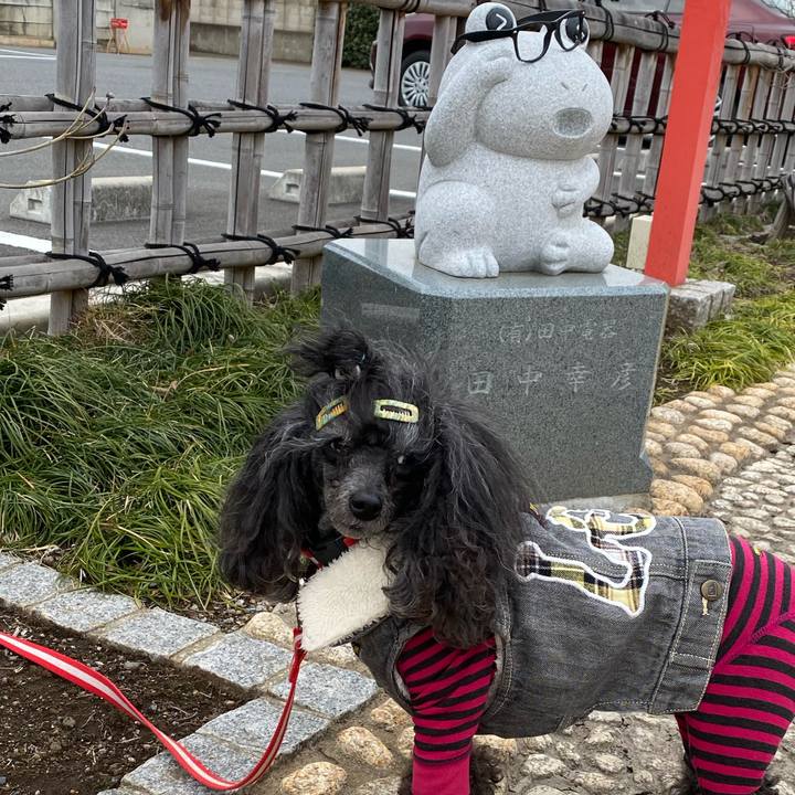 F04922b5 0325 46c6 99e9 1da9218929ad 1711675193555