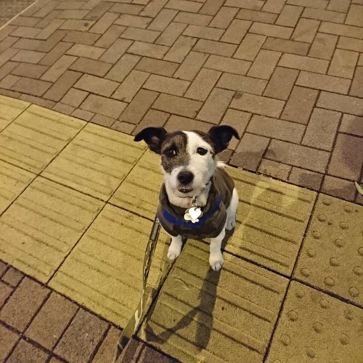 F0494d82 29d2 4c45 8a15 0e699bf2b92b 1519900409932