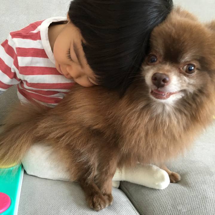 F0495068 c3ca 4043 b4b5 7c810b949fc3 1515820185981