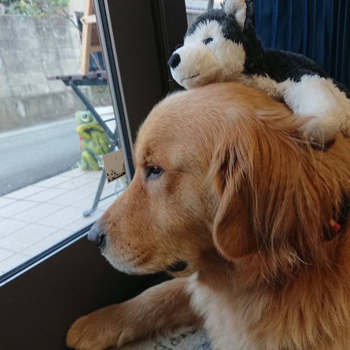 F04969ac 5bc8 4ce8 9f69 c86291fd2a1c 1575899430454