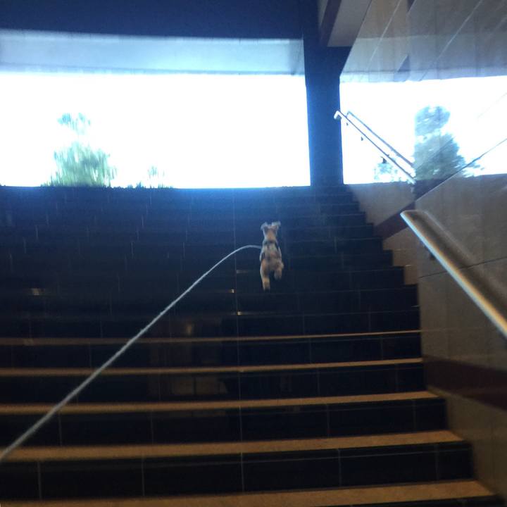 F04973c8 41da 4775 8614 dc995f30eec7 1542196542330