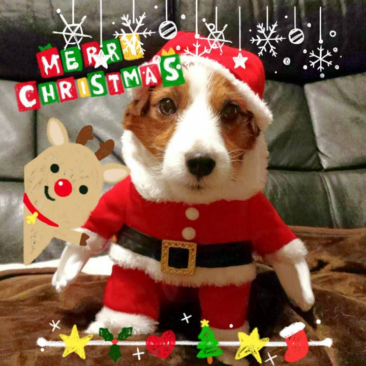 F049c3c1 03b9 4ec6 9417 d3965784d89e 1514069977338