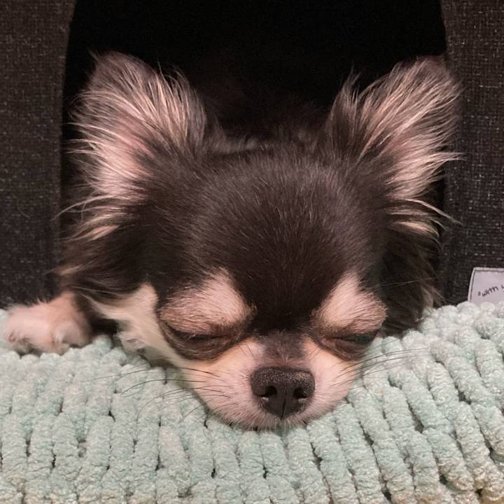 F04a0ee2 e3c3 4aea 9132 b6d0baa44201 1659879141080