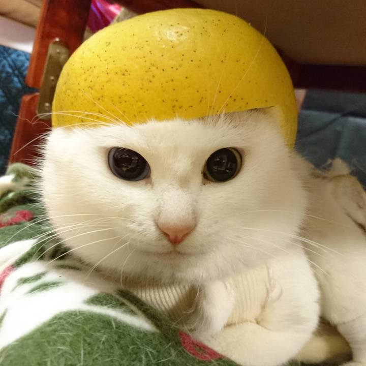 F04a2ce9 634c 4535 a89f ddee88445ca8 1522593072484