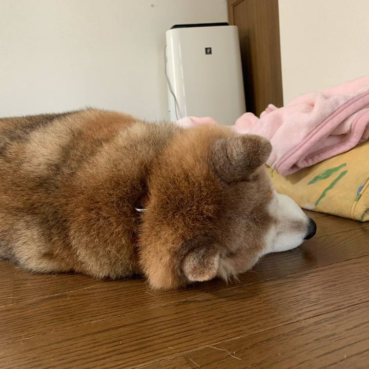 F04a3888 1903 43c6 928b 9ef593e9fa3c 1616229578858