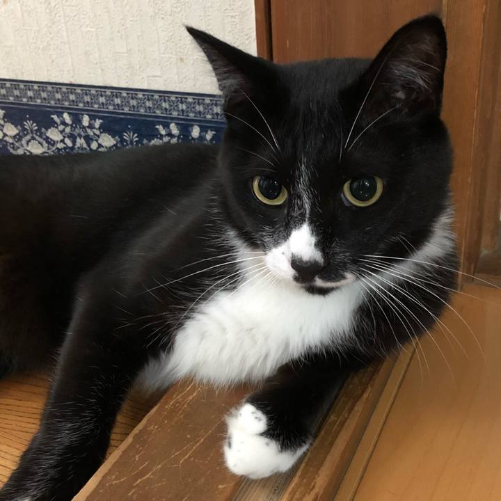 F04a67db fcd2 4956 9ea8 1e03b37f4c58 1633922631412