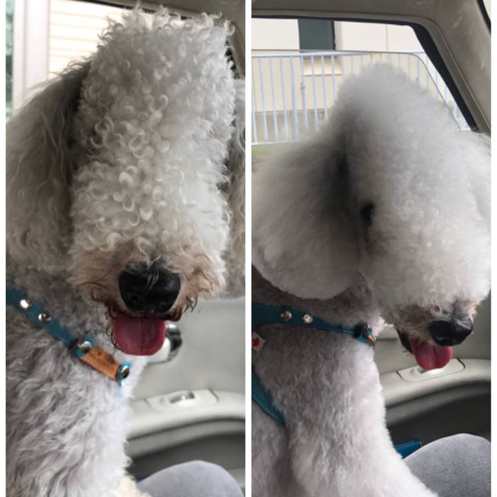 F04a78e1 1077 4f71 9122 51d8cd142b5c 1632632931955